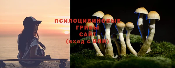 прущие грибы Покачи