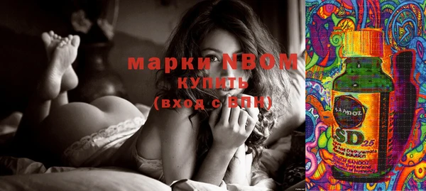 прущие грибы Покачи