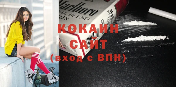 прущие грибы Покачи