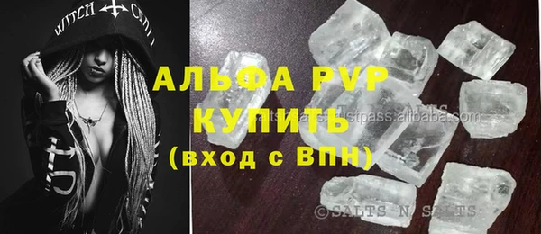 прущие грибы Покачи
