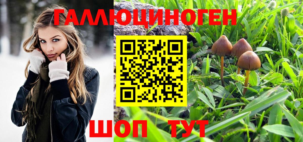 Галлюциногенные грибы Cubensis  Галлюциногенные грибы Psilocybine cubensis  даркнет сайт  Ухта  Вход с VPN 
