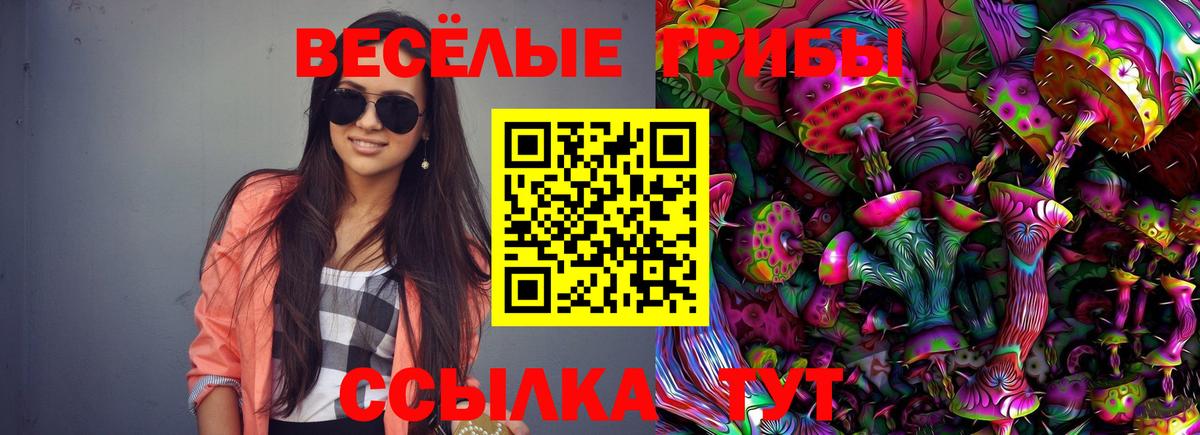 Галлюциногенные грибы Cubensis Ухта